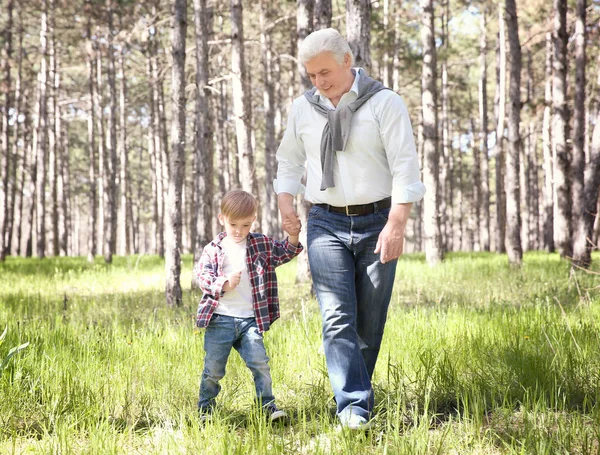 Старший мужчина с внуком — стоковое фото