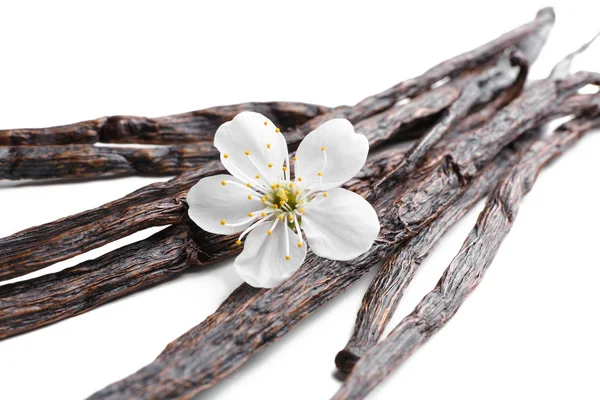 Dried vanilla sticks and flower — Stock Photo, Image