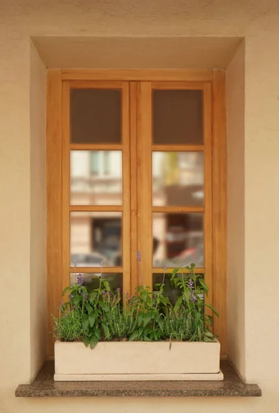 Moderna trä fönster dekorerad med blomma — Stockfoto