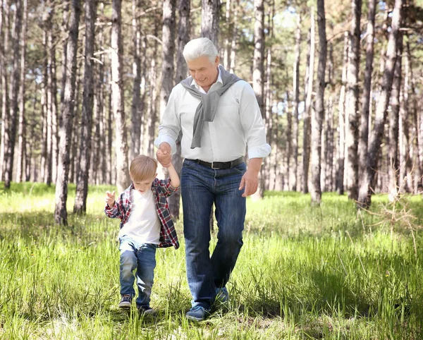 Старший мужчина с внуком — стоковое фото
