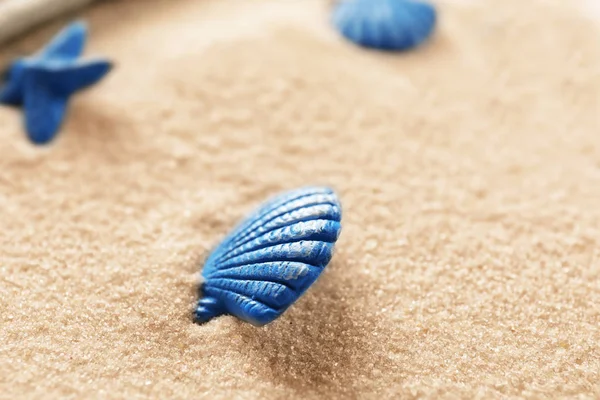 Small sea shell on beach sand, closeup — Stock Photo, Image
