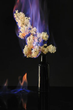 Yanan Eflatun çiçekler