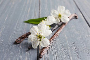 Kurutulmuş vanilya çubukları