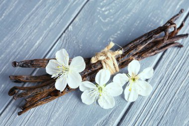 Kurutulmuş vanilya çubukları