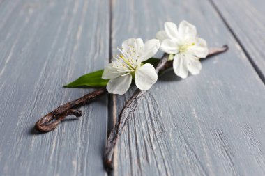 Kurutulmuş vanilya çubukları