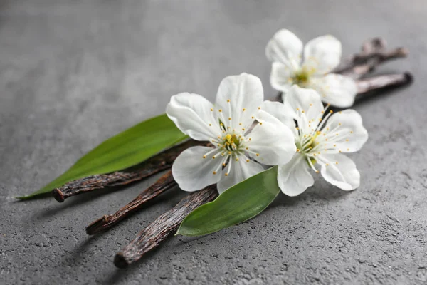 Gedroogde vanille sticks — Stockfoto