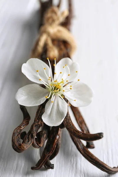 Palitos de baunilha secos e flor — Fotografia de Stock