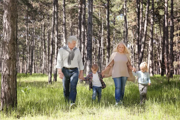 Бабушка и дедушка и дети в лесу в солнечный день — стоковое фото