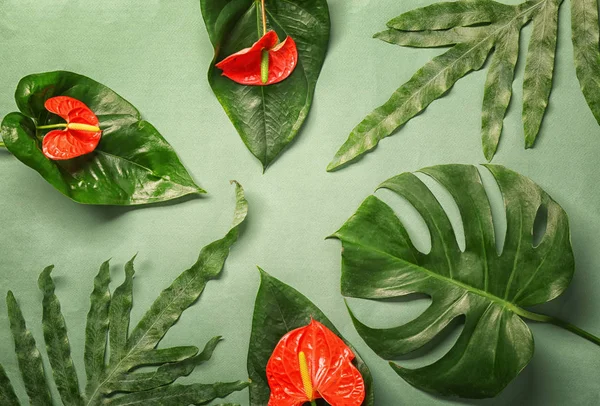 Composição com belas flores tropicais — Fotografia de Stock