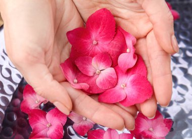 Eller HORTENSIA çiçekli 