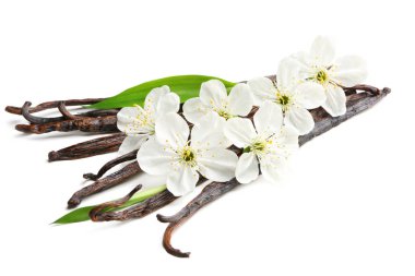 Kurutulmuş vanilya çubukları