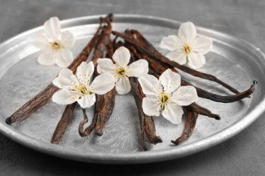 Kurutulmuş vanilya çubukları