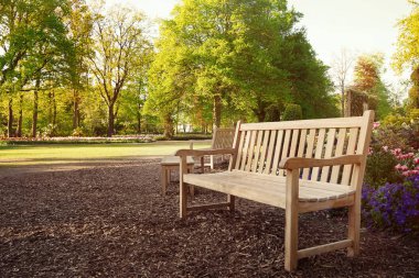 Parktaki ahşap bank