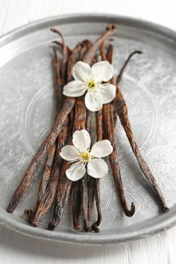 Kurutulmuş vanilya çubukları