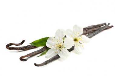 Kurutulmuş vanilya çubukları