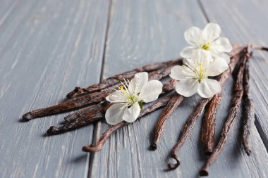 Kurutulmuş vanilya çubukları