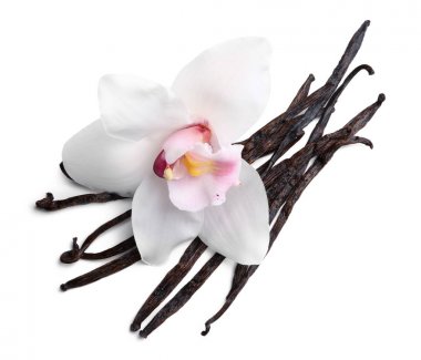 Vanilya çubukları ve çiçek kurutulmuş 