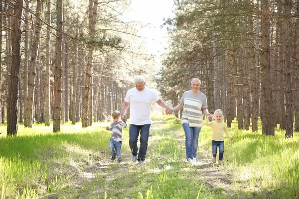 Happy grandparents and children — Stock Photo, Image