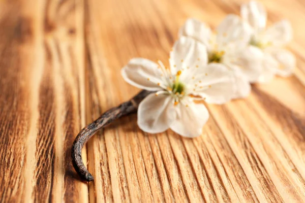 Palillo de vainilla seca y flores sobre fondo de madera, primer plano — Foto de Stock