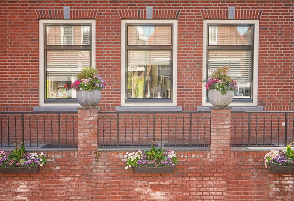 Edificio con ventanas modernas — Foto de Stock