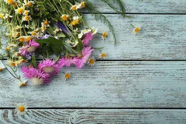 Mooie weide bloemen — Stockfoto