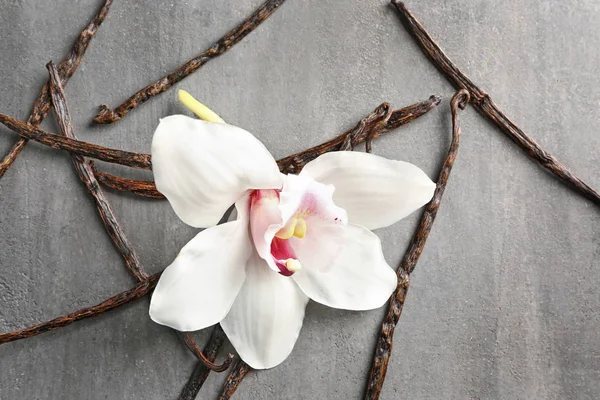 Сушені ванільні палички і квітка — стокове фото