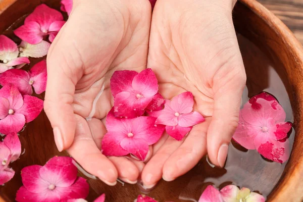 オルテンシア花と手 — ストック写真