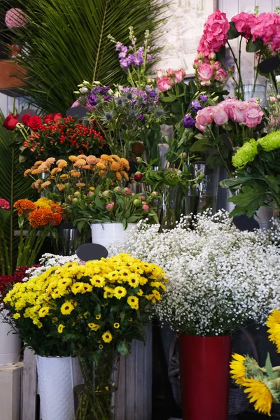 Flores florescentes diferentes — Fotografia de Stock