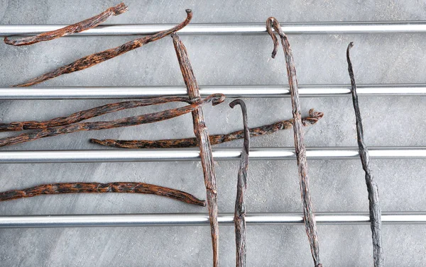 Dried vanilla sticks on metal bars — Stock Photo, Image