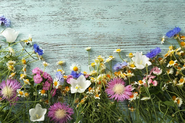 Lindas flores de prado — Fotografia de Stock