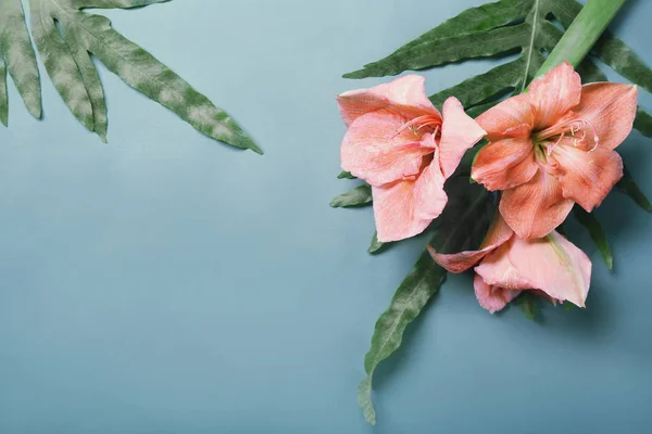 Komposition mit schönen tropischen Blumen — Stockfoto