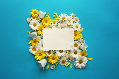 boş kartpostal ve güzel papatya çiçeği