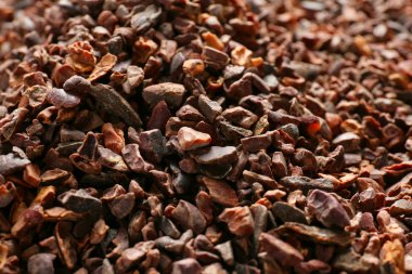 aromatik kakao hazretleri