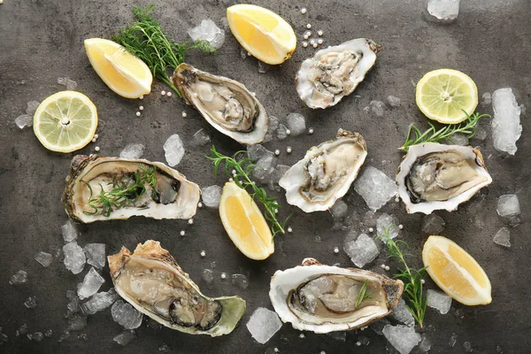 Tasty fresh oysters with sliced juicy lemon — Stock Photo, Image