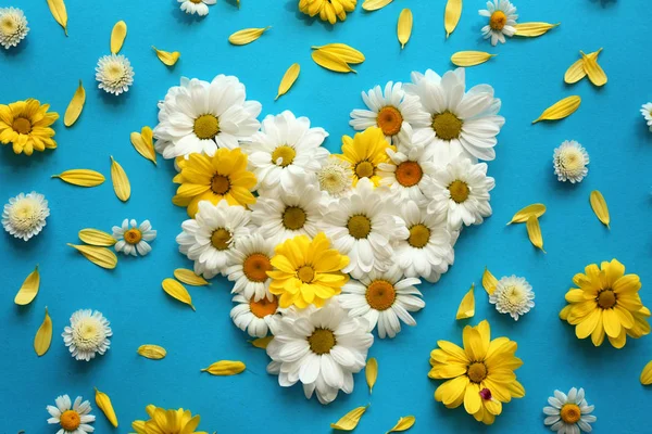 Σύνθεση με λουλούδια όμορφα χαμομήλι — Φωτογραφία Αρχείου