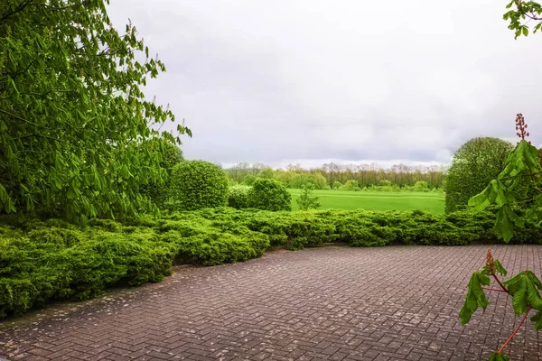 Beautiful alley in park — Stock Photo, Image