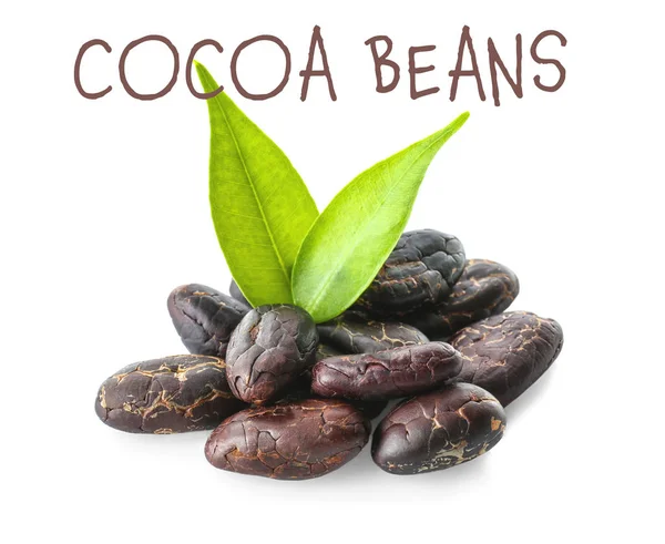 Aromatic cocoa beans with green leaves — Stock Photo, Image