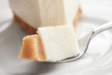 Lezzetli peynirli kek parçası 