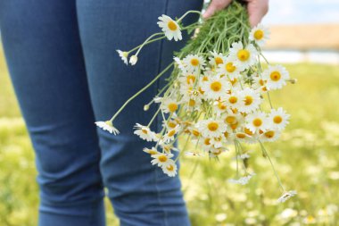kadın güzel papatya çiçeği ile