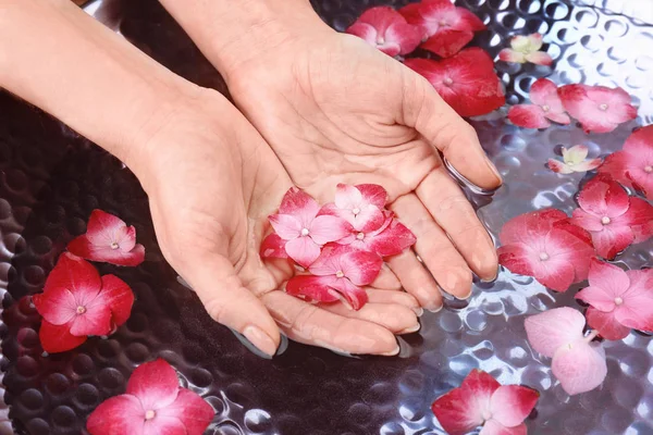 Mani femminili con fiori di ortensia — Foto Stock