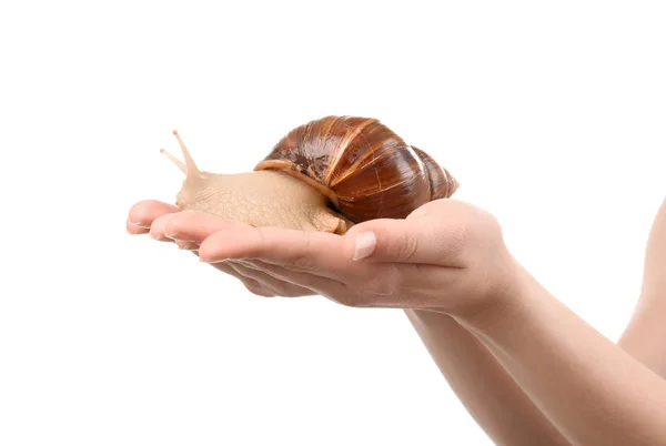 Mãos femininas com caracol gigante Achatina — Fotografia de Stock