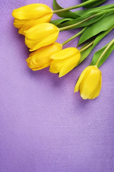 Krásné čerstvé tulipány — Stock fotografie