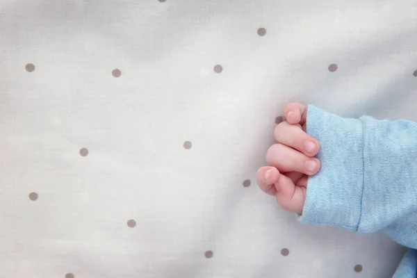 Main de mignon petit bébé — Photo