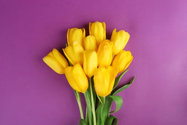 Prachtige verse tulpen — Stockfoto