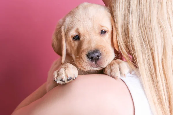 Mujer con labrador retriever cachorro — Foto de Stock