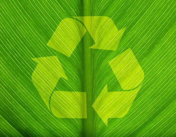 Symbole de recyclage et feuille verte — Photo