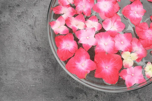 Cuenco con flores de agua y hortensia — Foto de Stock