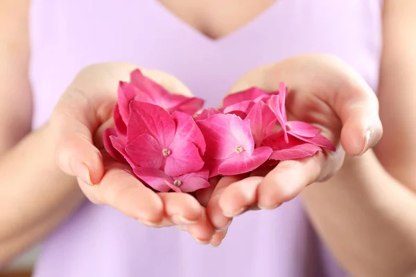 Kvinna med blommor av hortensia — Stockfoto