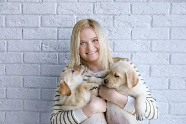 Frau mit Labrador Retriever Welpen — Stockfoto