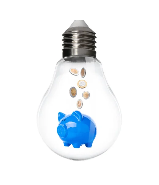 Sparschwein mit Münzen im Inneren der Glühbirne auf weißem Hintergrund. Steigende Stromkosten — Stockfoto